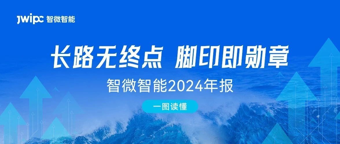 一图读懂：乐发∨I官方网站智能2024年报